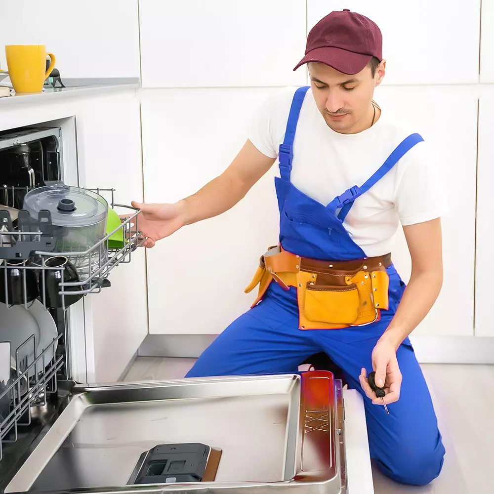 all types of dishwasher